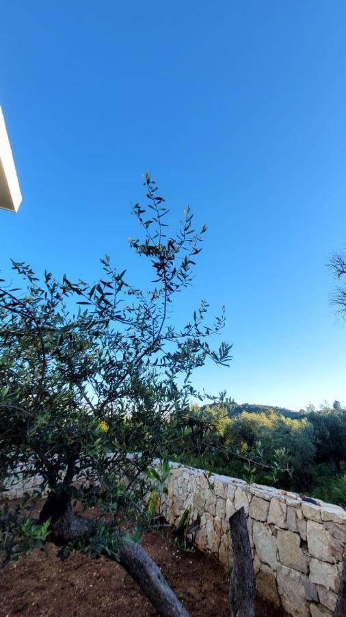 Sweet Home Himara Esterno foto